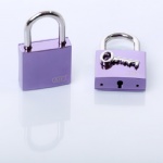 zinc alloy bridge lock