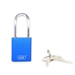AJF Special type aluminum alloy anti theft peg hook locks
